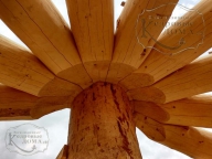 Уникальная ромашка из кедровых бревен диаметром 50-60 см.