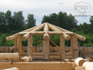 Фрагмент каркасно бревенчатой конструкции на производстве в Сибири