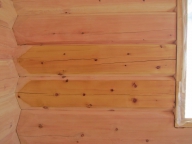Фото стены лафетного дома из кедра диаметром 40-46 см. Ширина лафета 260 мм.