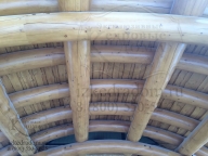 Фрагмент бревенчатой стропильной системы центрального крыльца из бревен кедра 40 см. 